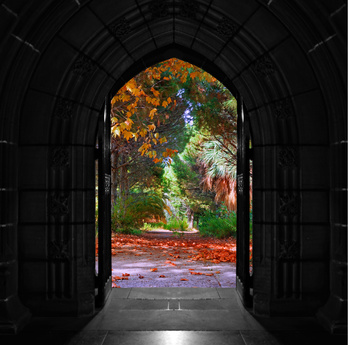 Old arched church doors opening out onto beautiful, colorful forest